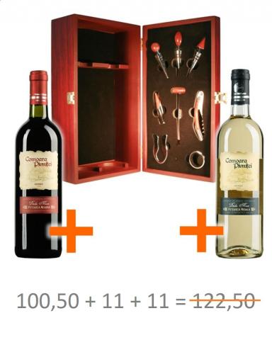 Pachet Promo 1